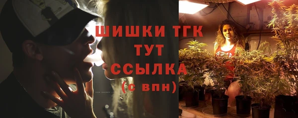 дмт Удомля