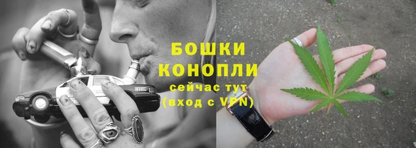 PSILOCYBIN Верея