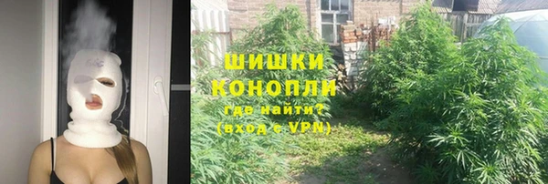 амф Узловая